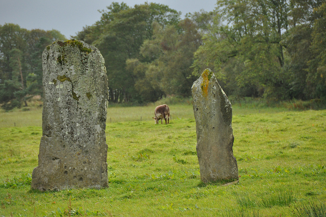 6136054438_f55ecd18cf_z